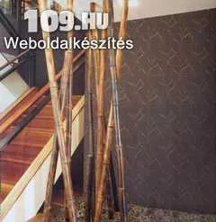 Tapéta   Bambusz